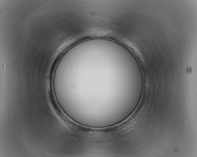 X0000094460582200711081101