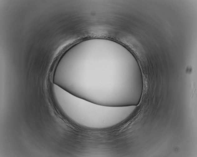 X0000094460583200711081101
