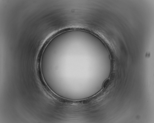 X0000094460584200711081101
