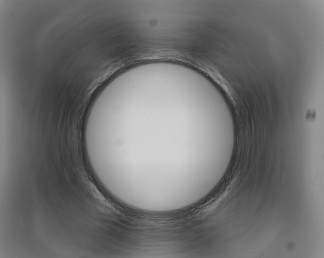 X0000094460585200711081101