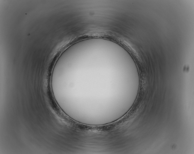 X0000094460586200711081101