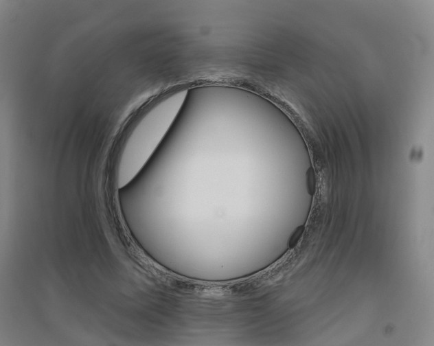 X0000094460587200711081101