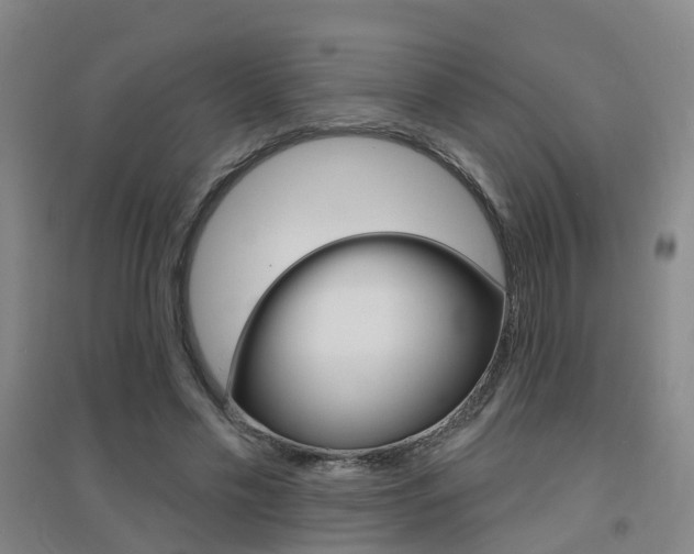 X0000094460589200711081101