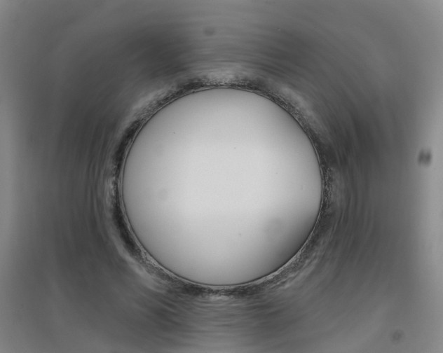 X0000094460590200711081101