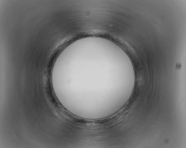 X0000094460591200711081101