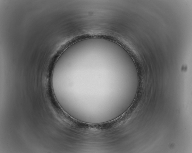 X0000094460592200711081101