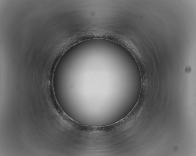 X0000094460593200711081101