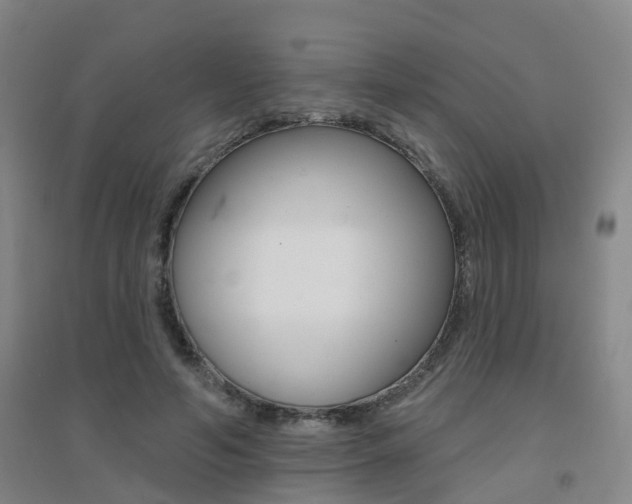 X0000094460594200711081101