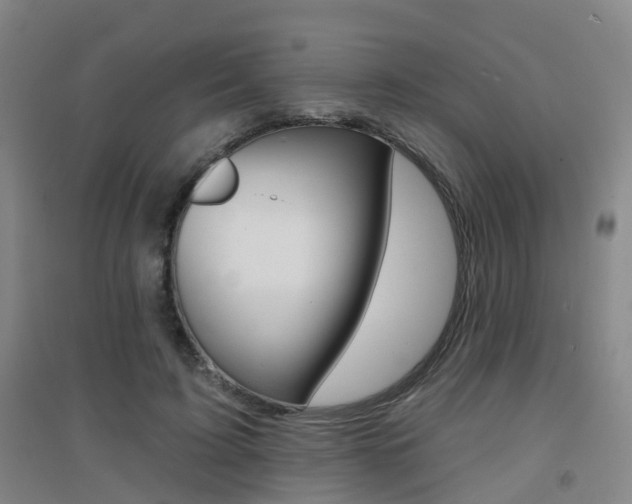X0000094460595200711081101