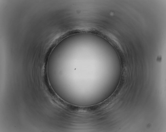 X0000094460596200711081101