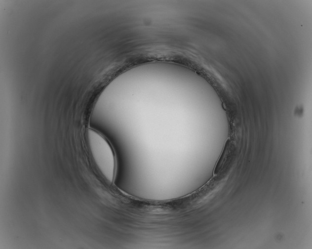 X0000094460597200711081101