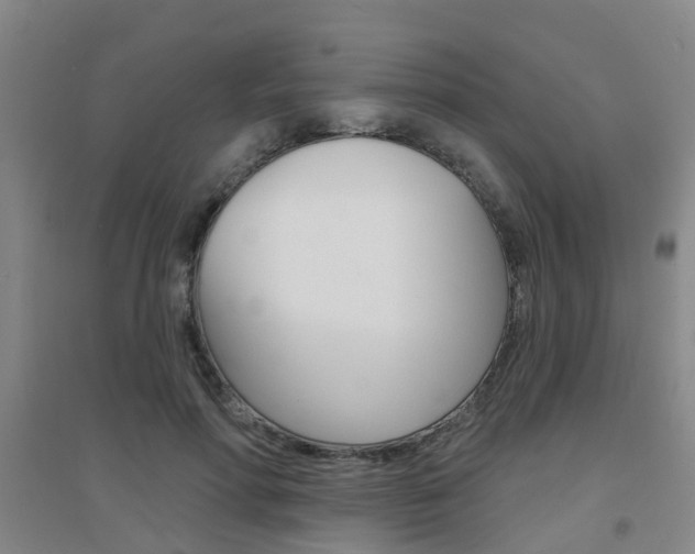 X0000094460598200711081101
