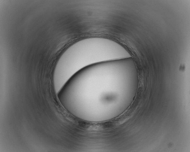 X0000094460599200711081101