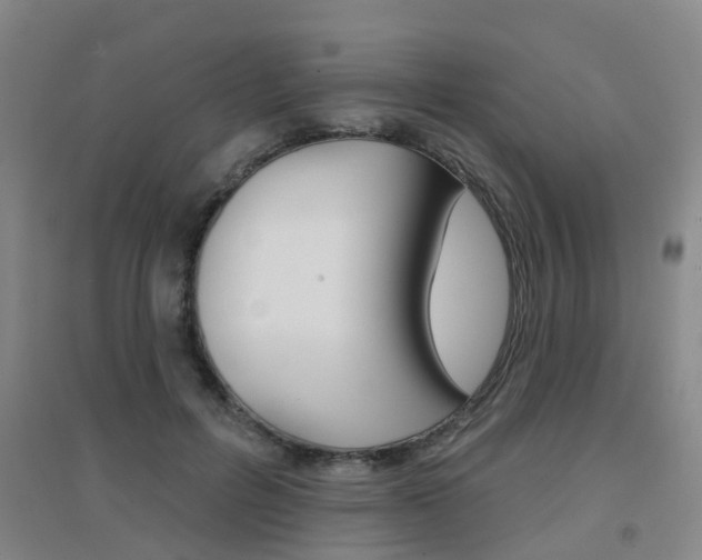 X0000094460600200711081101