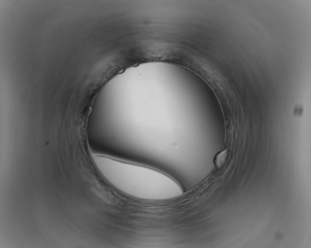 X0000094460601200711081101