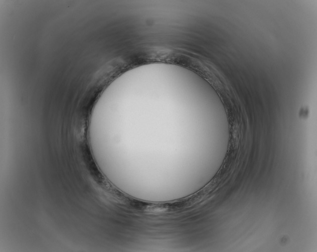 X0000094460602200711081101