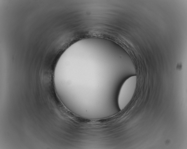 X0000094460603200711081101