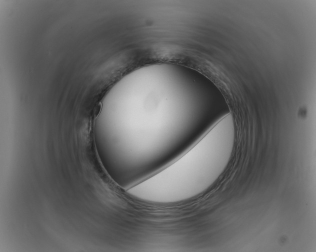 X0000094460605200711081101