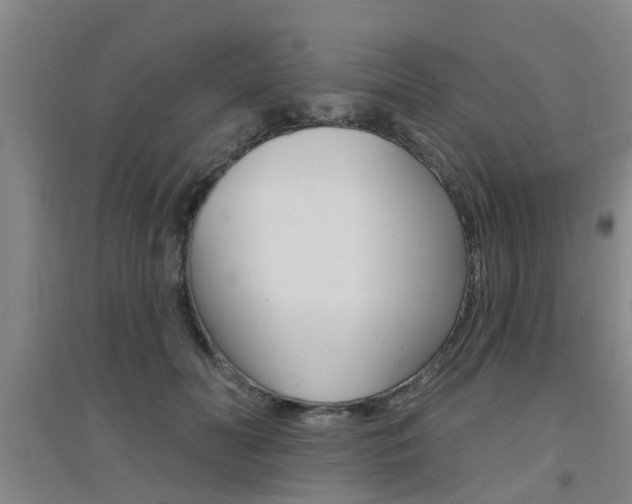 X0000094460606200711081101