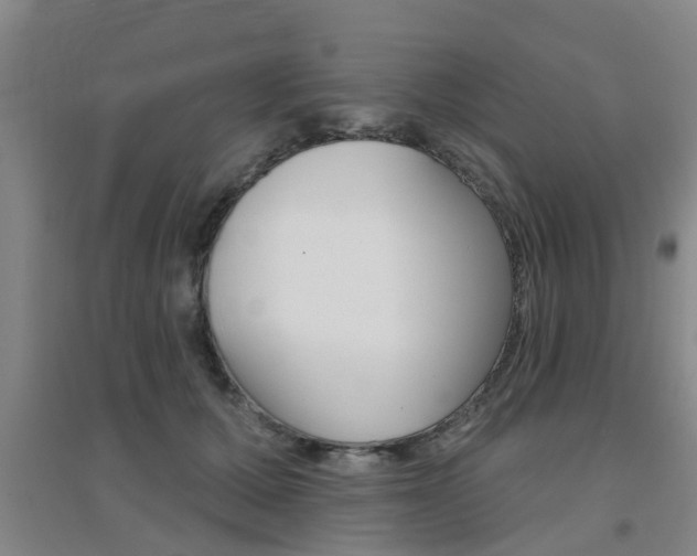 X0000094460607200711081101