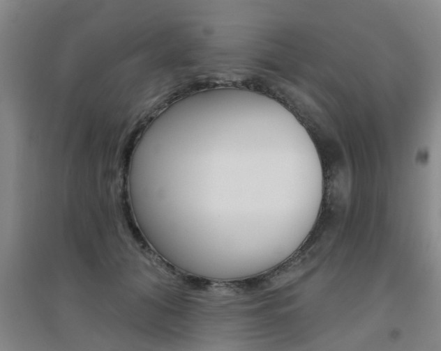 X0000094460608200711081100