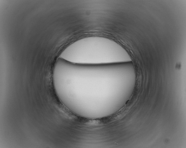 X0000094460609200711081100