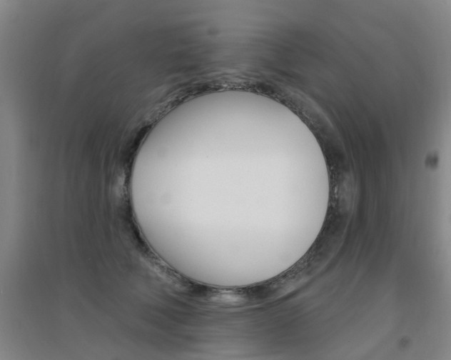 X0000094460610200711081100