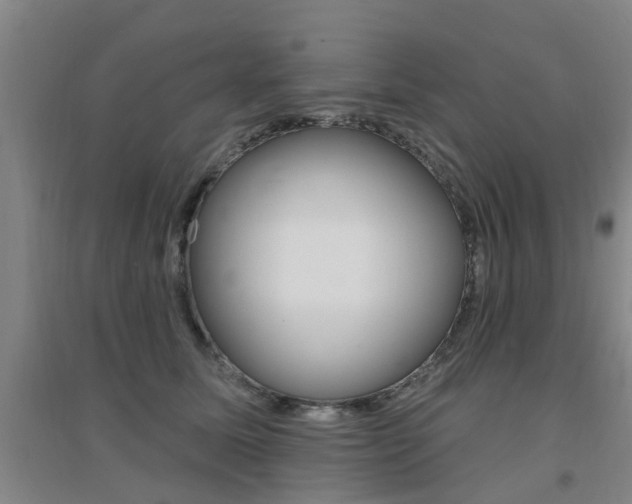 X0000094460611200711081100