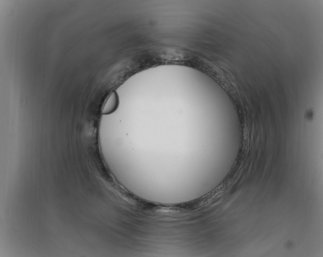 X0000094460614200711081100