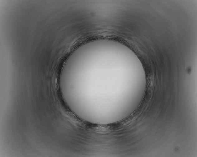 X0000094460615200711081100