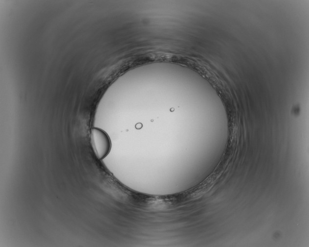 X0000094460616200711081100