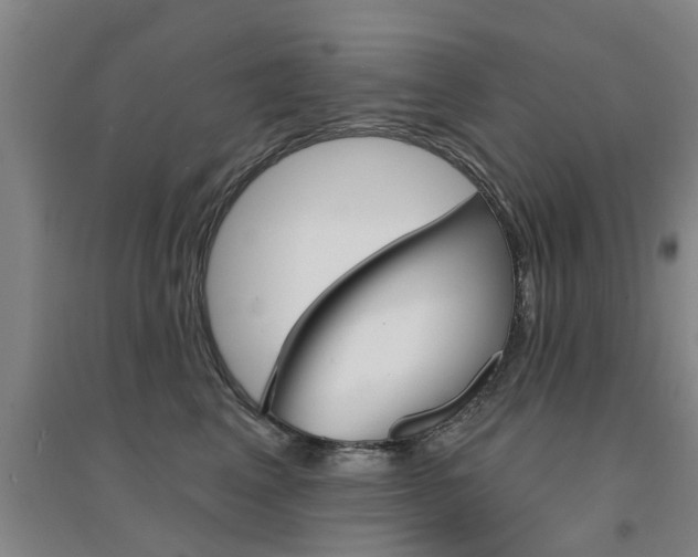 X0000094460617200711081100