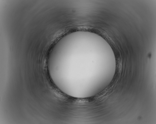 X0000094460619200711081100