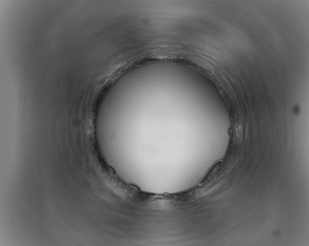 X0000094460620200711081100