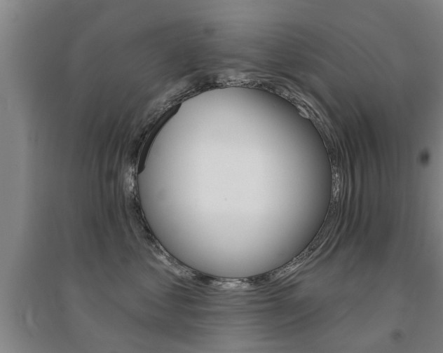 X0000094460621200711081100
