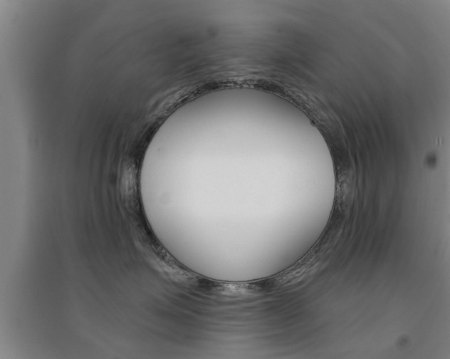 X0000094460623200711081100
