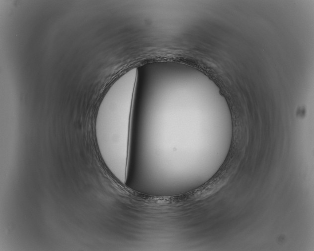 X0000094460624200711081100