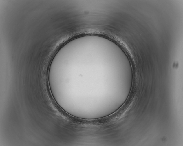 X0000094460625200711081059