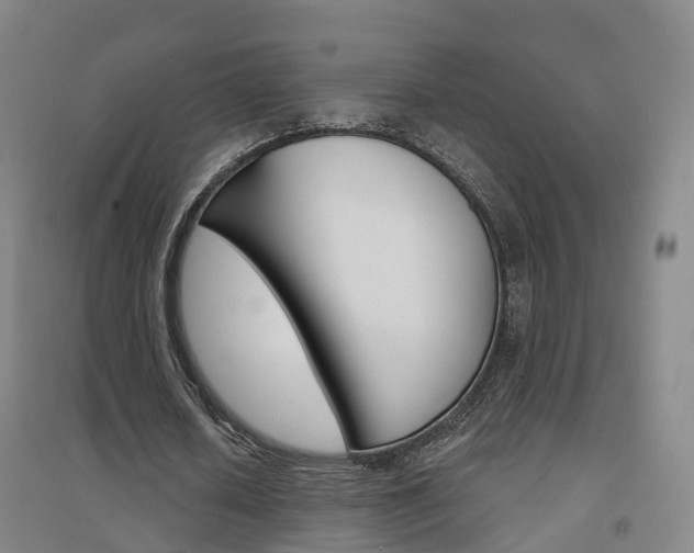 X0000094460626200711081059