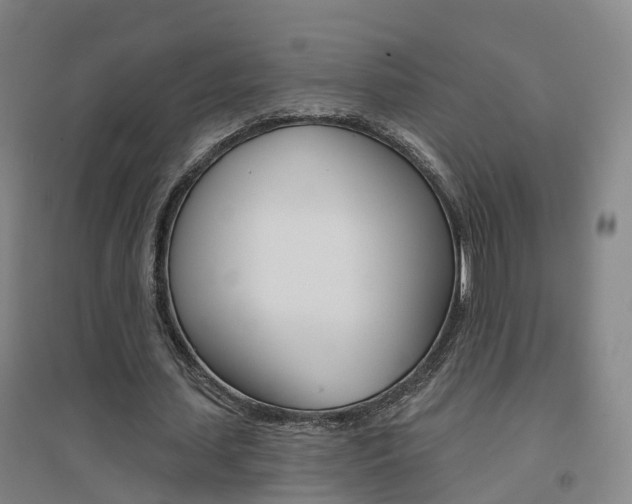 X0000094460627200711081059