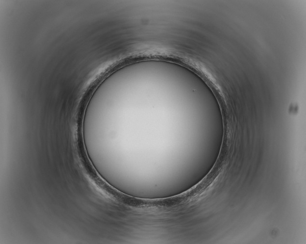 X0000094460629200711081059