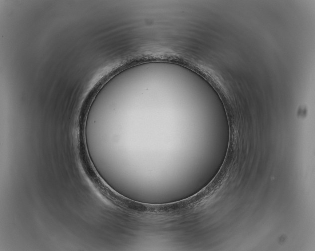 X0000094460630200711081059