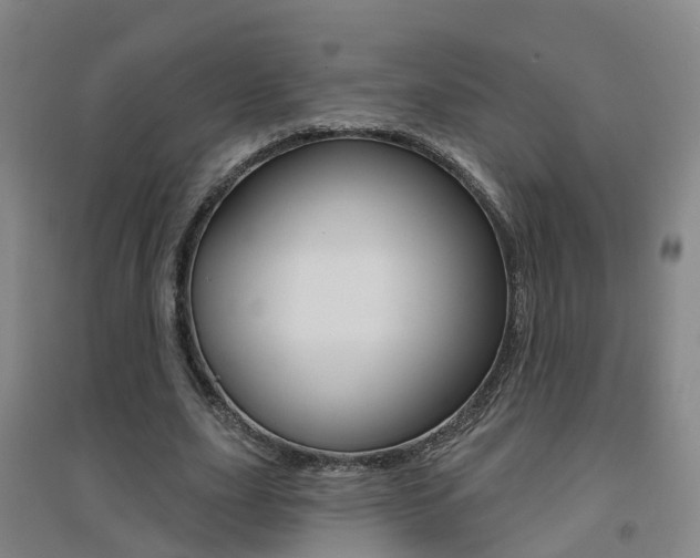 X0000094460631200711081059