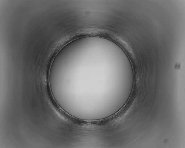 X0000094460633200711081059