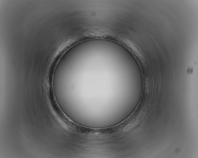 X0000094460634200711081059