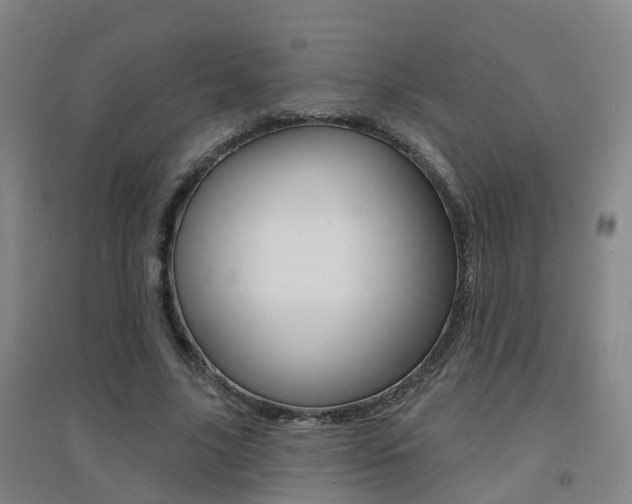 X0000094460635200711081059