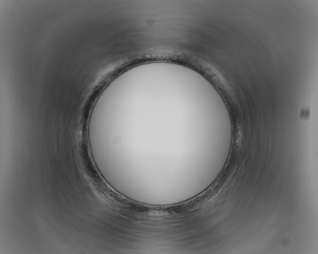 X0000094460636200711081100