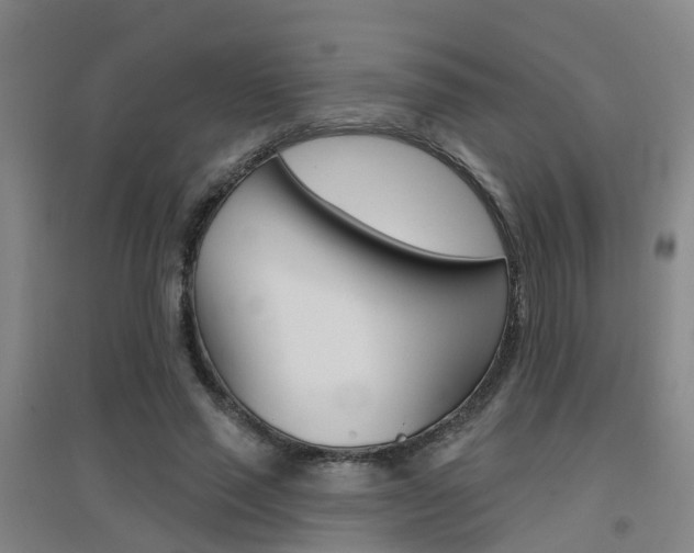 X0000094460637200711081100