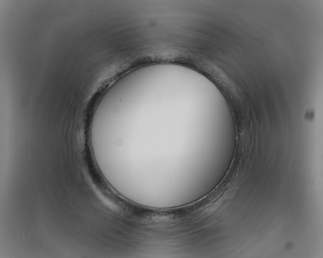 X0000094460638200711081100