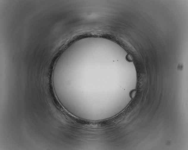 X0000094460639200711081100